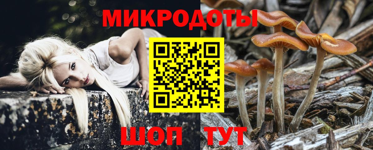 Галлюциногенные грибы Psilocybe Миасс