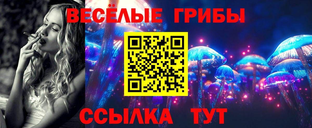 Псилоцибиновые грибы Psilocybine cubensis  Вход с VPN  Миасс 